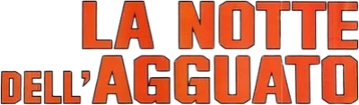 La notte dell'agguato
