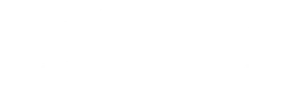 The Good Detective