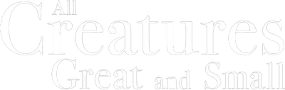 All Creatures Great and Small