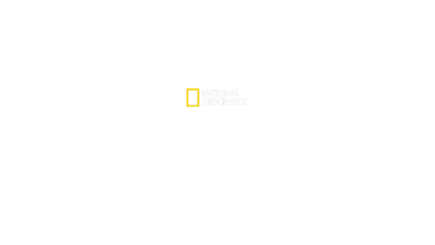 Punto di non ritorno