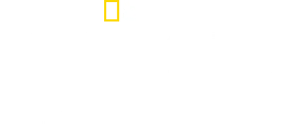 Welcome to Earth