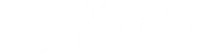 My Führer